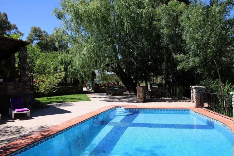 Imagen de Piscina zona de lectura