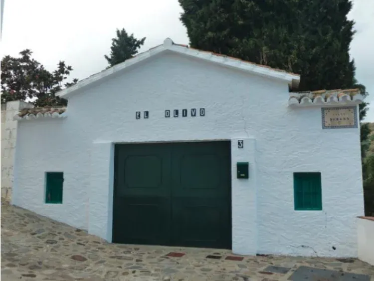 Imagen de El Olivo