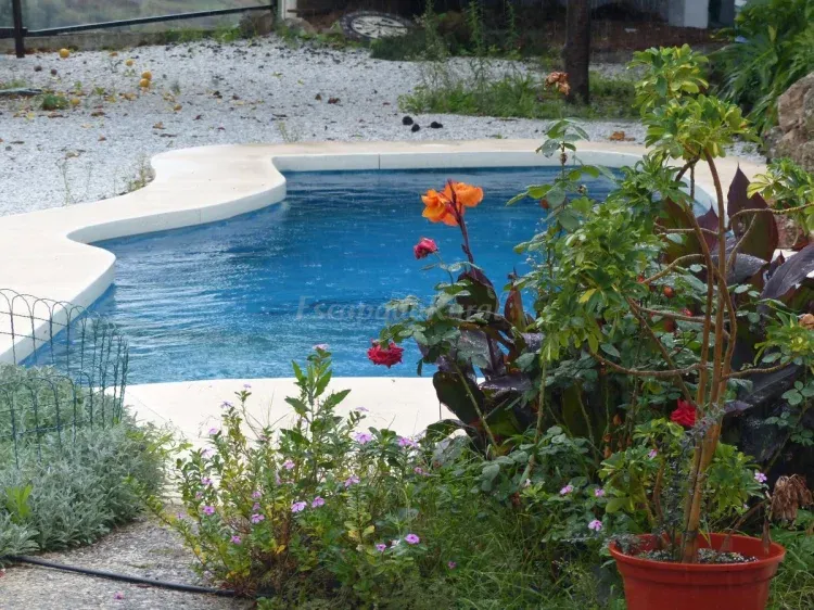 Imagen de Piscina
