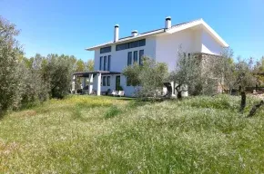 Imagen de El Toro Blanco