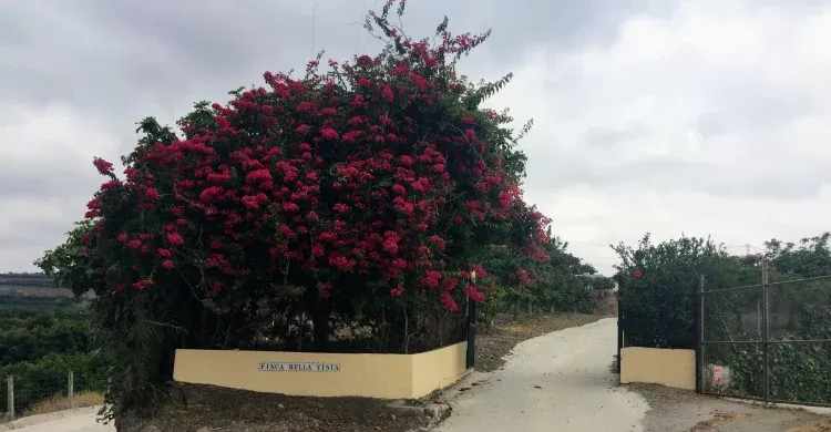 Imagen de Entrada 