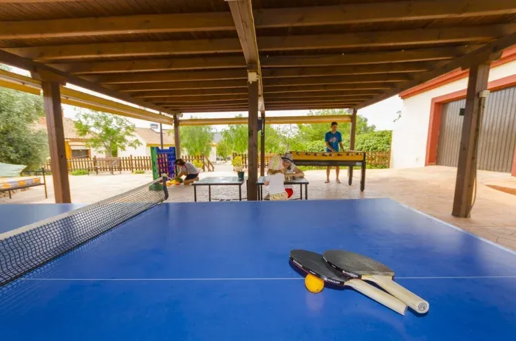 Imagen de Pérgola: Tenis de mesa