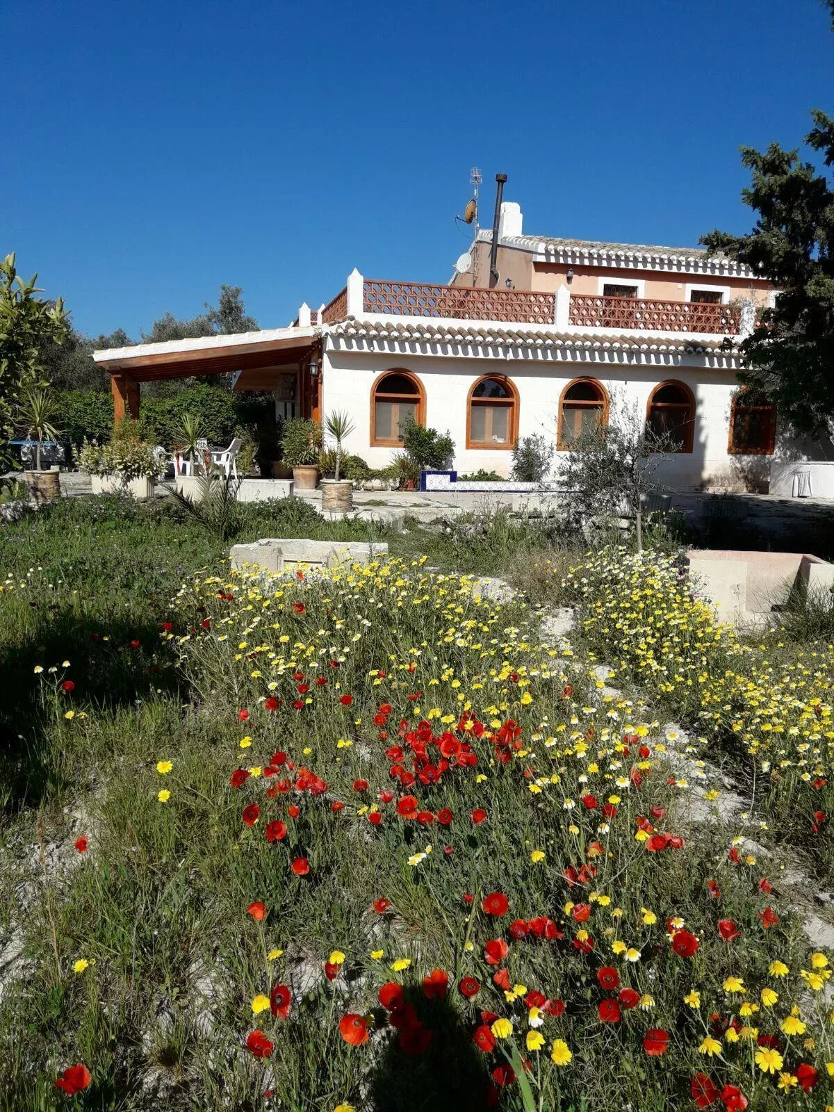 Imagen de Vista general Cortijo 