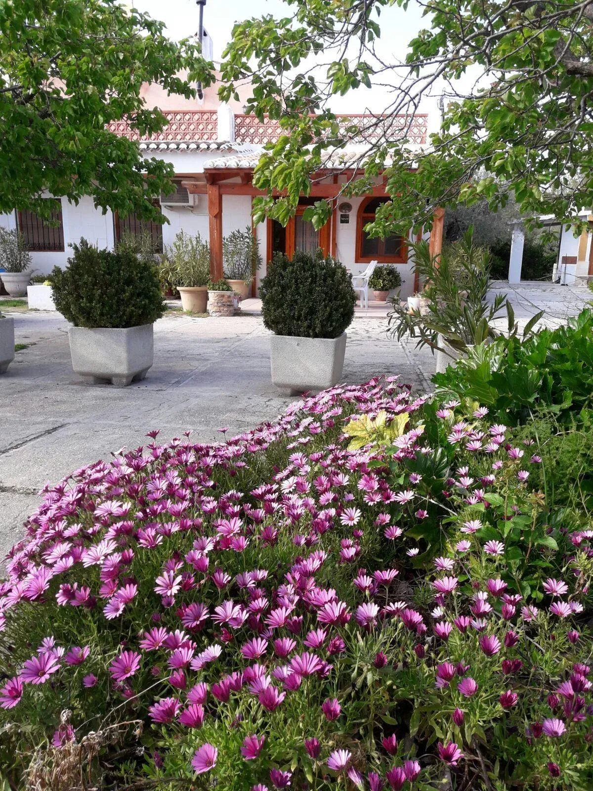 Imagen de Entrada Cortijo