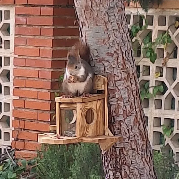 Imagen de La princesa de la casa