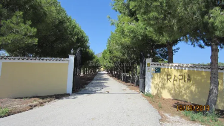 Imagen de _Entrada