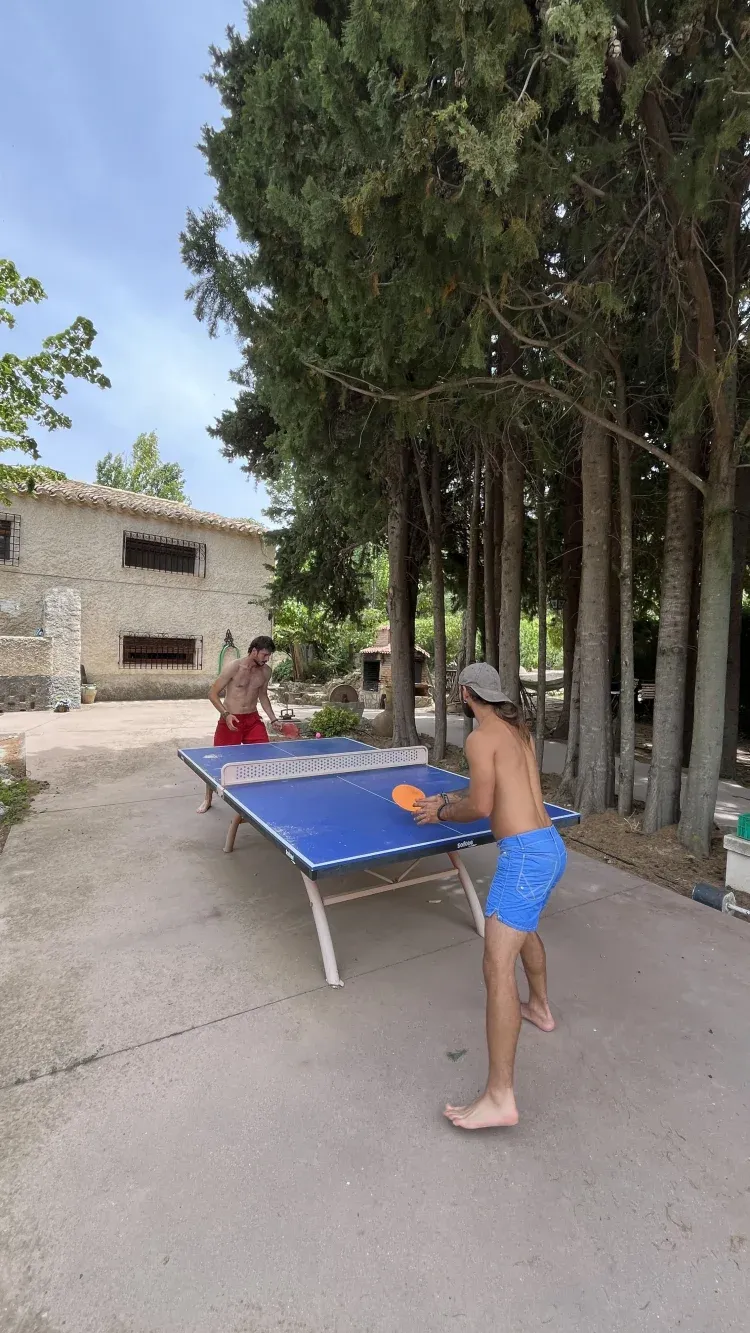 Imagen de Ping pong