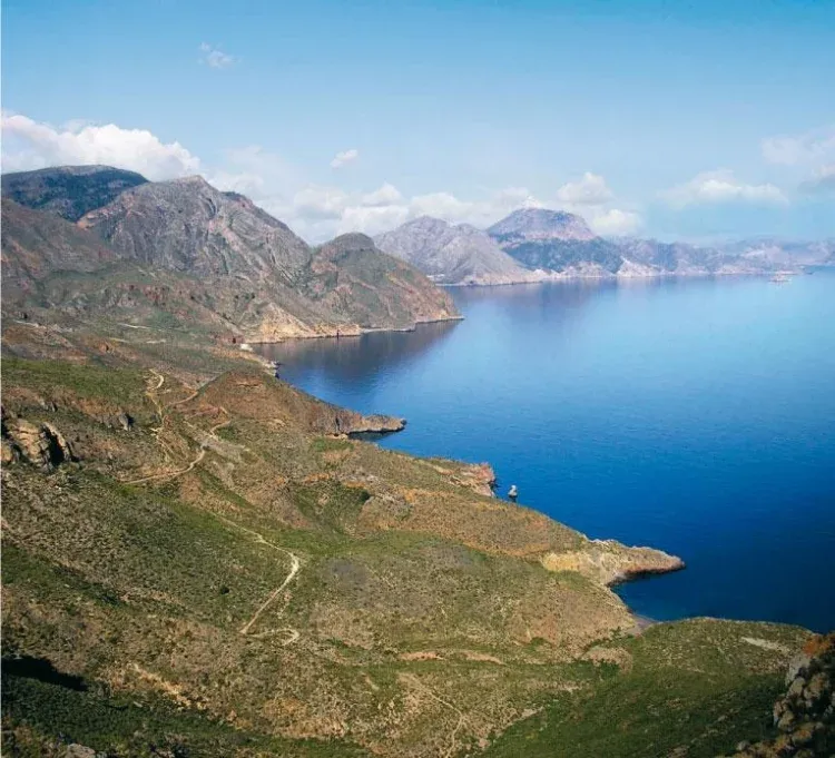 Imagen de Vista panorámica costa Cabo Tiñoso. Mirando hacia Cartagena desde Siete Cucones