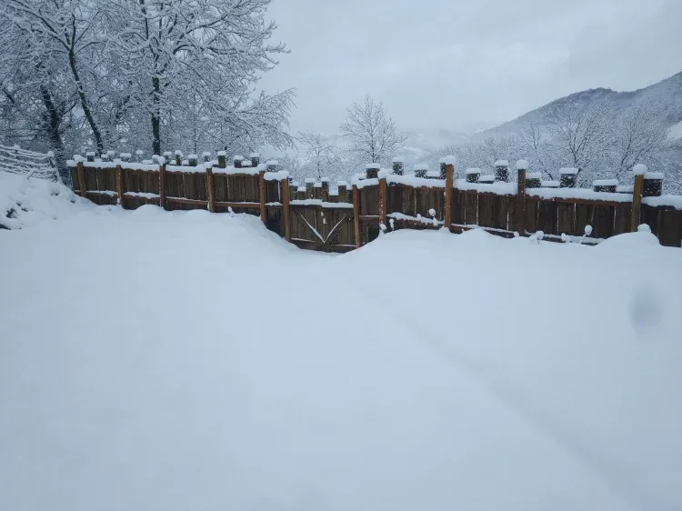 Imagen de Entrada Casa Rural nevada