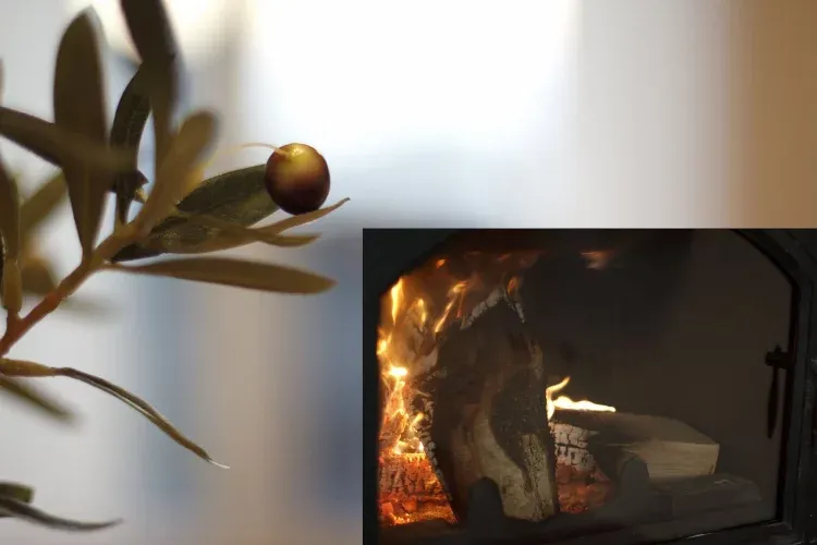 Imagen de CHIMENEA OLIVO