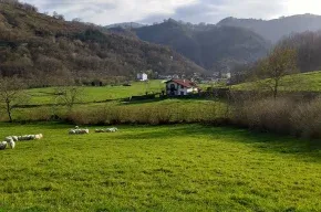 Imagen de Alberroakoborda