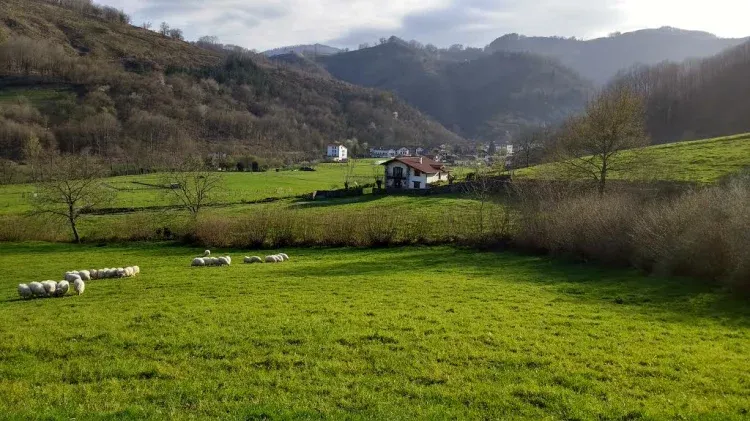 Imagen de 19 marzo 2017 Rodeado de campos