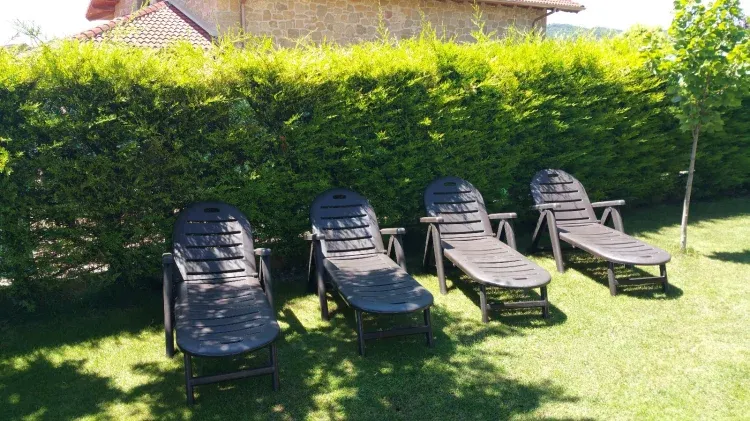 Imagen de Tumbonas en el jardín.