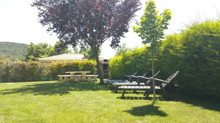Imagen de Jardín en verano.