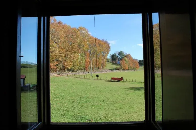Imagen de Vistas desde la habitacion