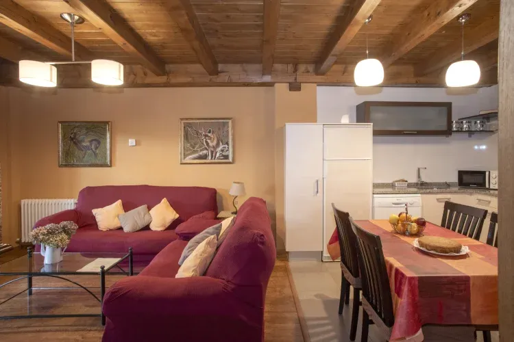 Imagen de salón - cocina 