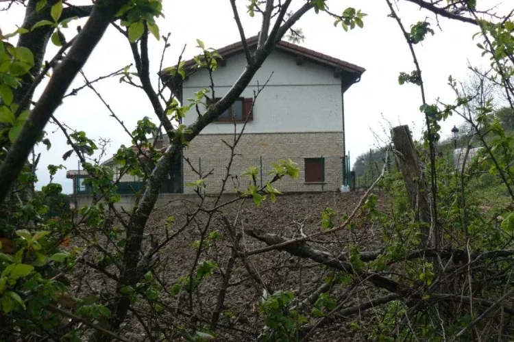 Imagen de Desde huerto