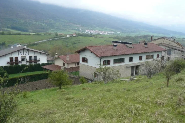 Imagen de Desde monte