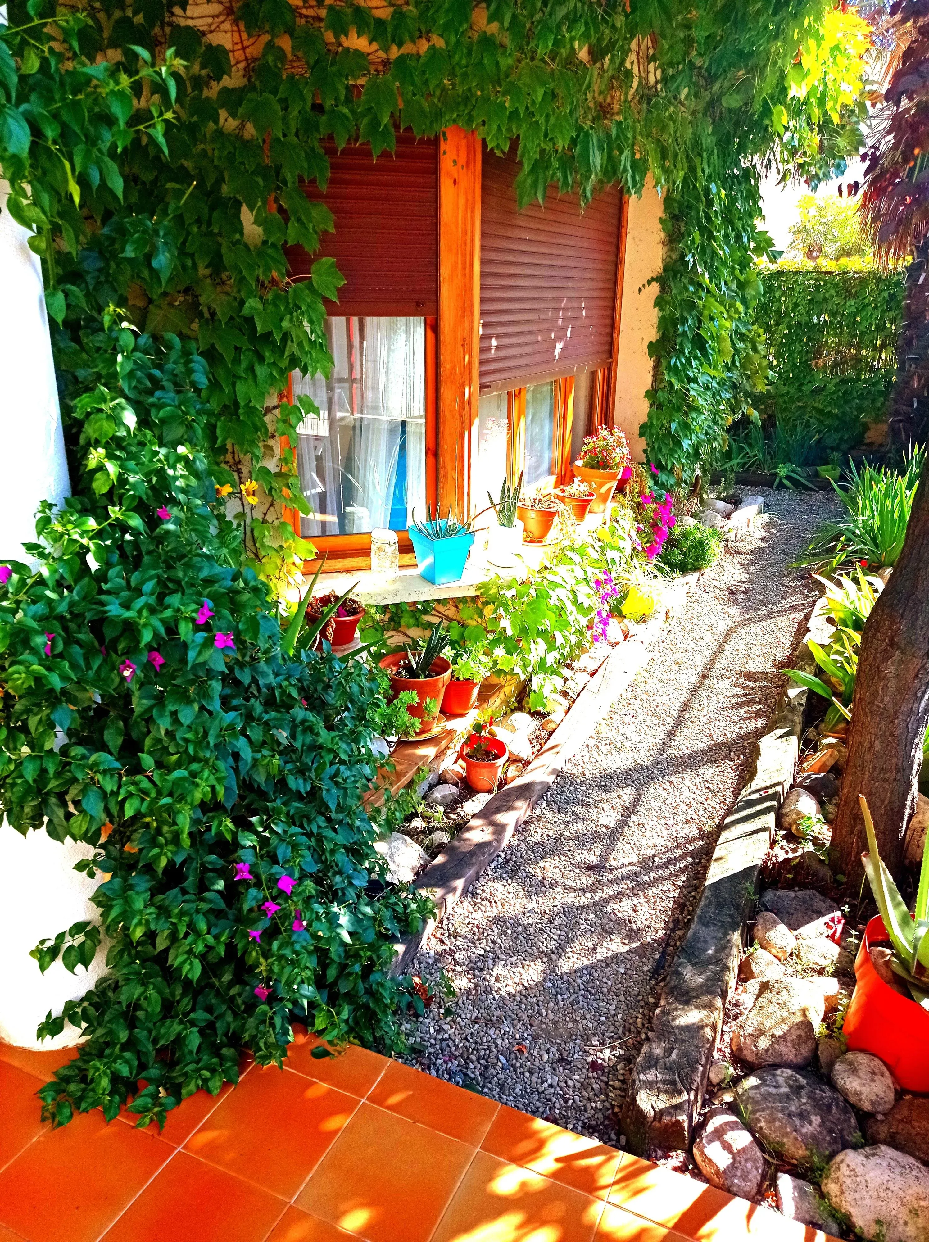 Imagen de Jardin de la entrada en verano