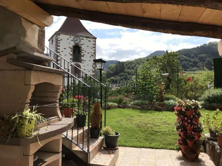 Imagen de Vistas jardin