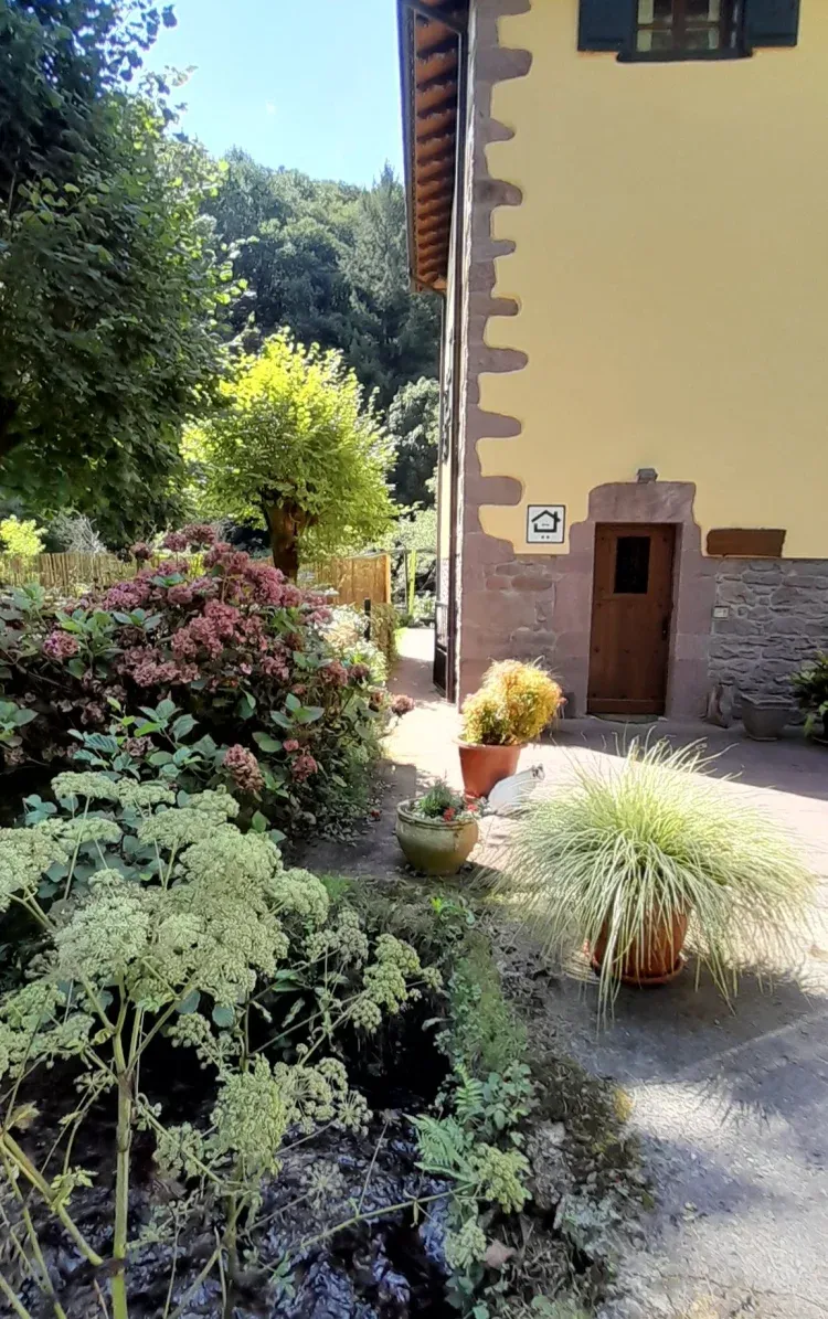 Imagen de Entrada