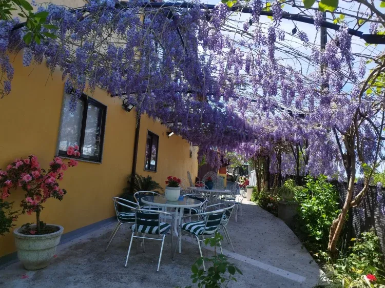 Imagen de Terraza patio