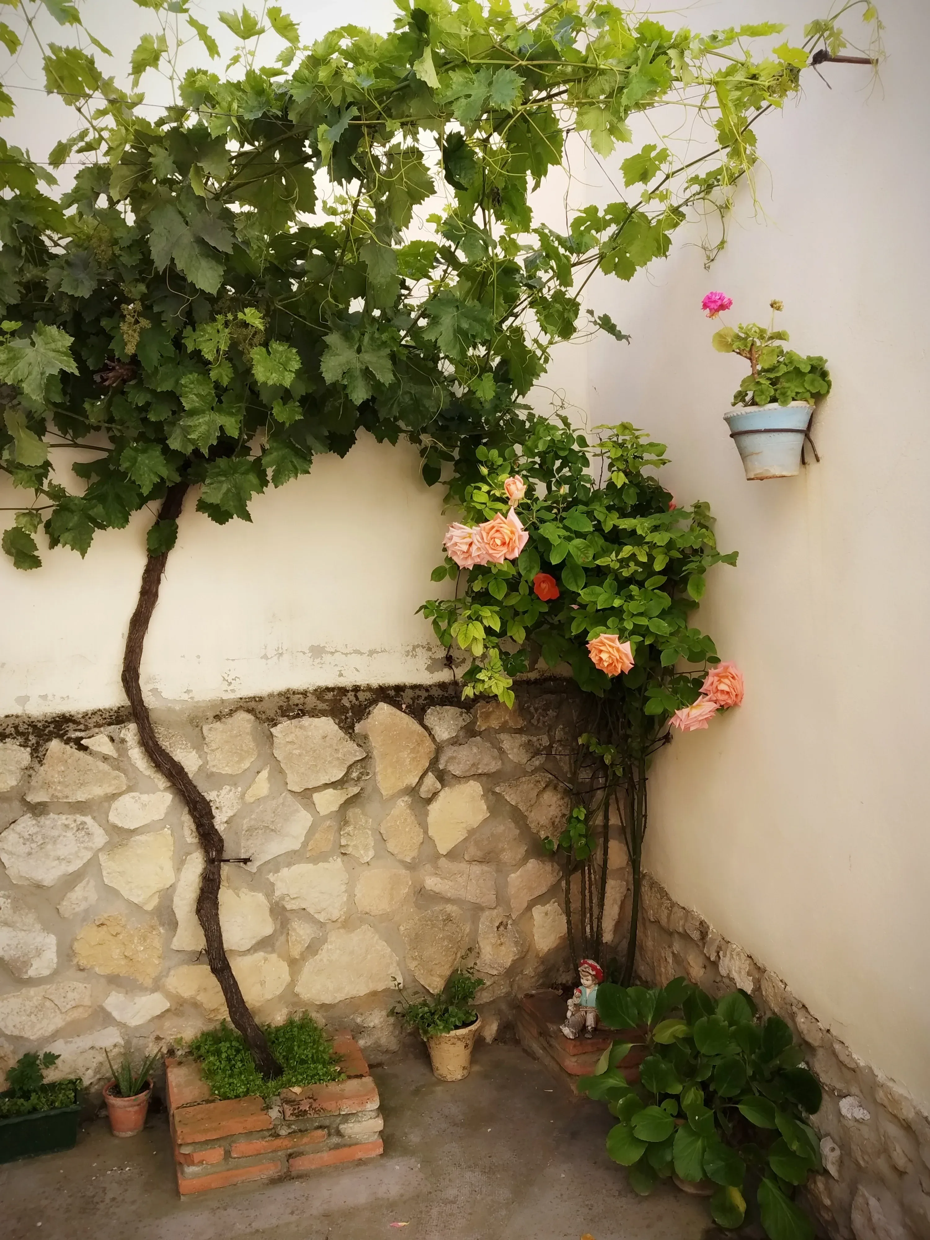 Imagen de Patio