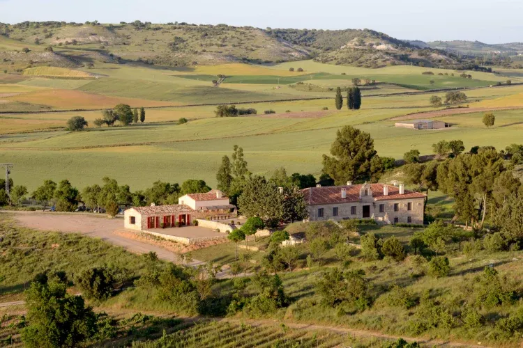 Imagen de Finca