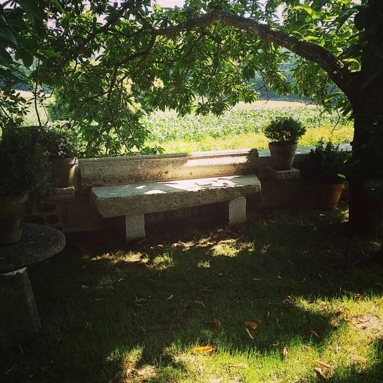 Imagen de Rincones