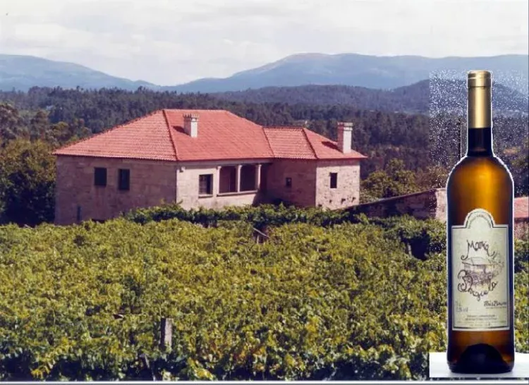 Imagen de Vista de la casa desde los viñedos
