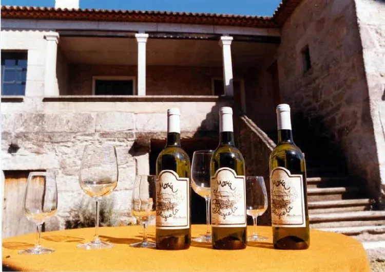 Imagen de Nuestro vino. Al fondo, porche de entrada a la casa.