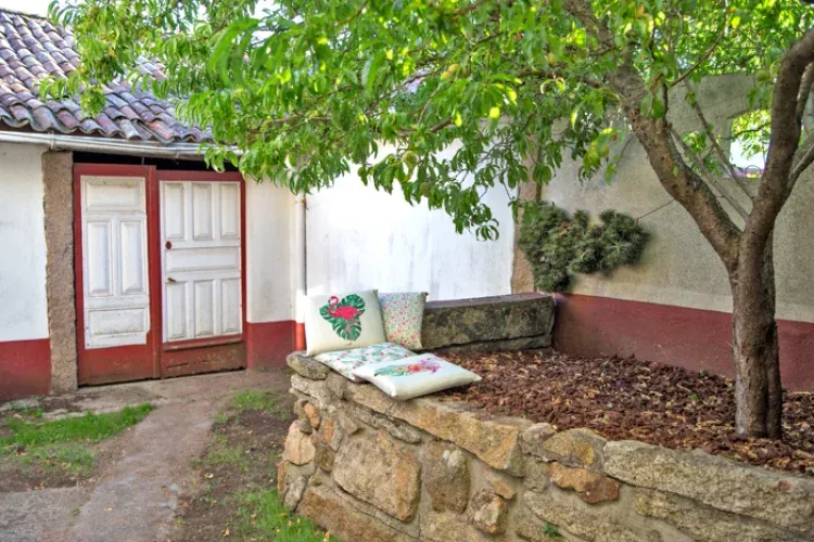 Imagen de Terraza