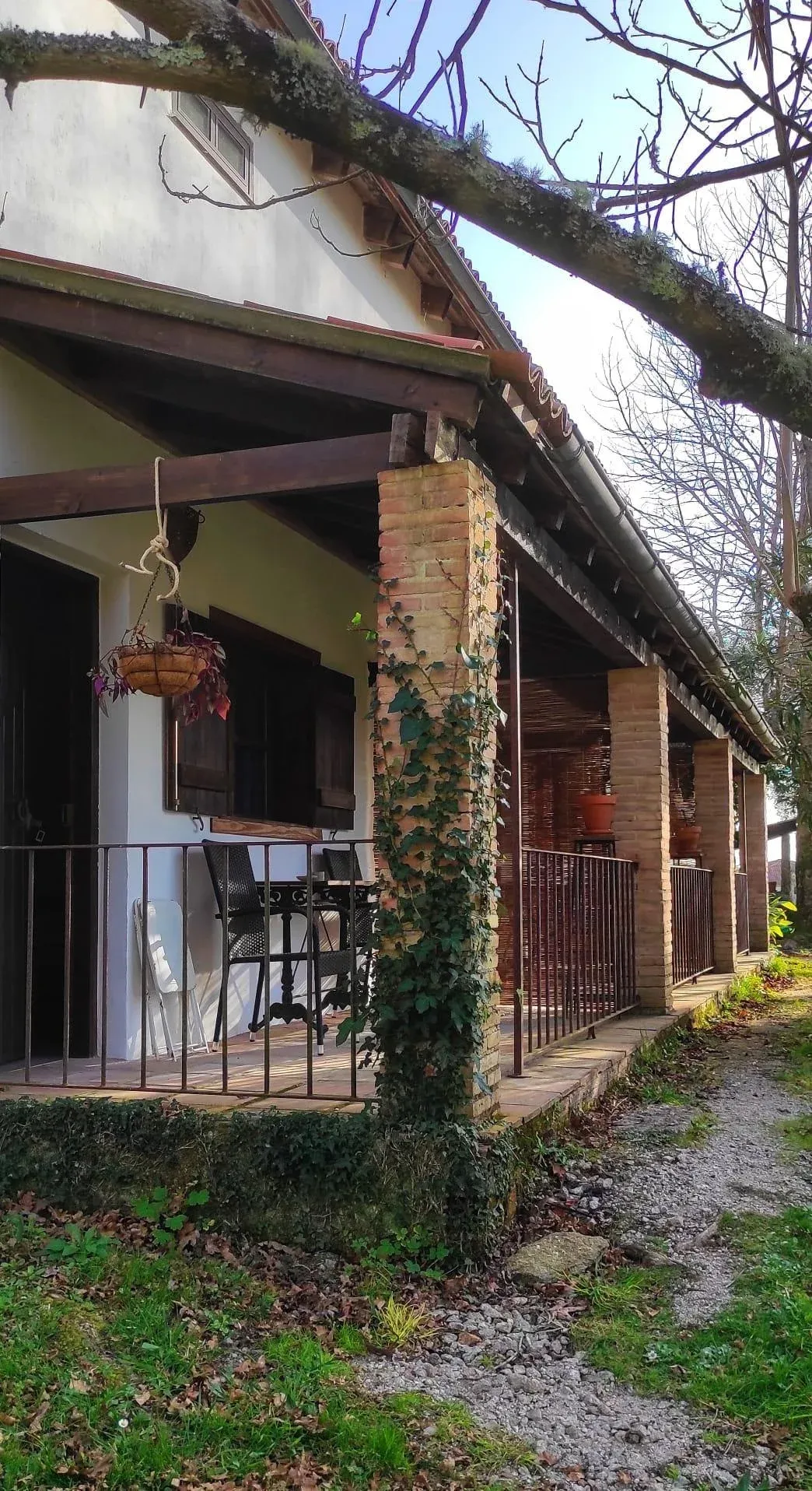Imagen de terrazas habitaciones