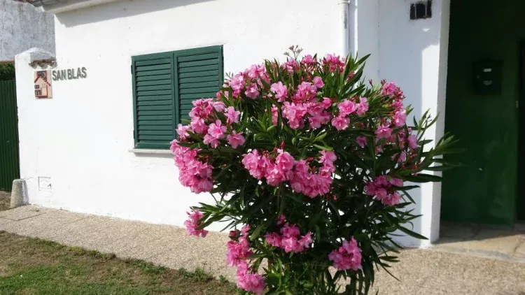 Imagen de Entrada casa