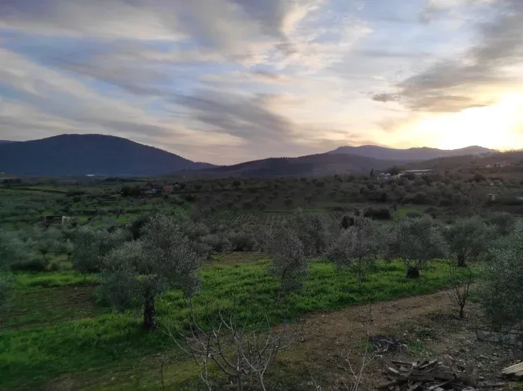 Imagen de vistas desde la terraza