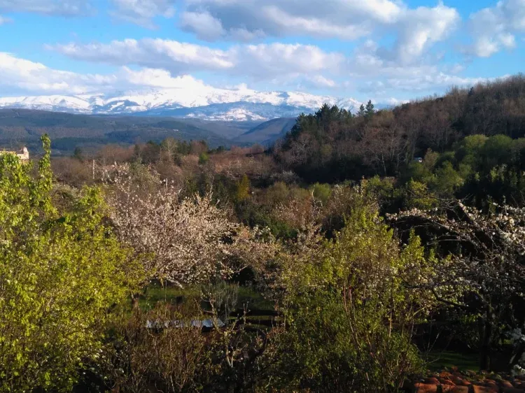 Imagen de Vistas desde las casas