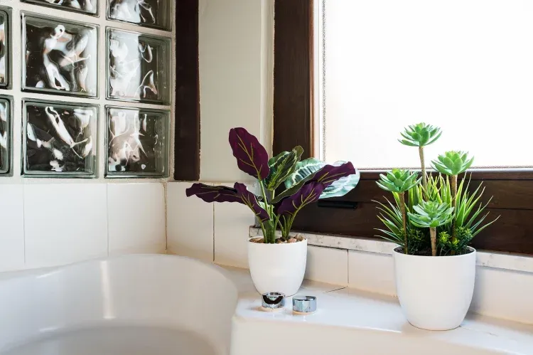 Imagen de Bañera de hidromasaje