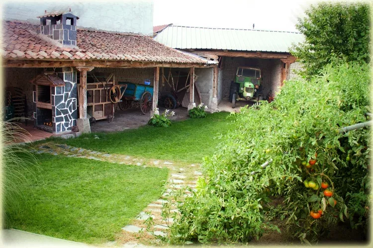 Imagen de corral o patio, barbacoa y huerto