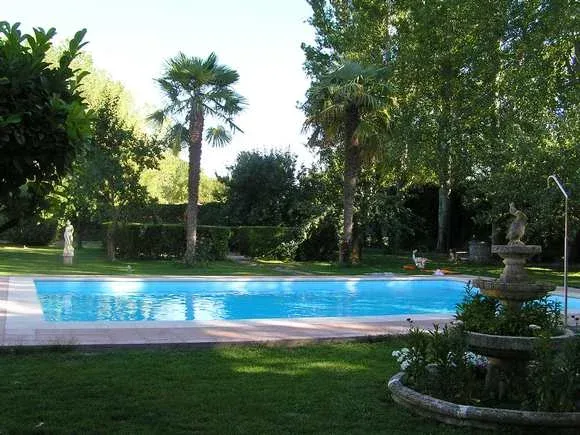Imagen de Piscina con palmera
