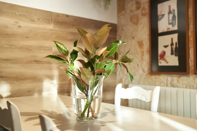 Imagen de Casa Green detalle mesa 1