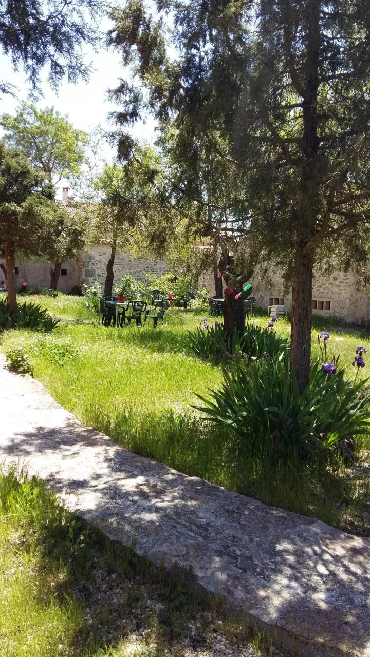 Imagen de jardín
