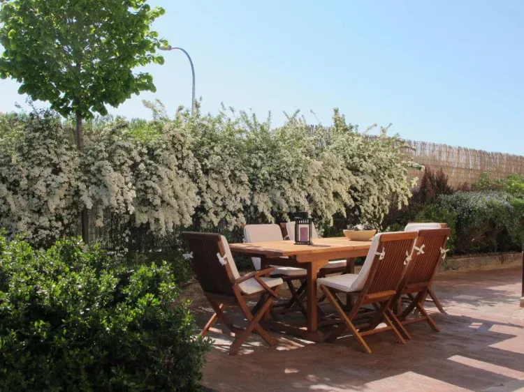 Imagen de Jardín