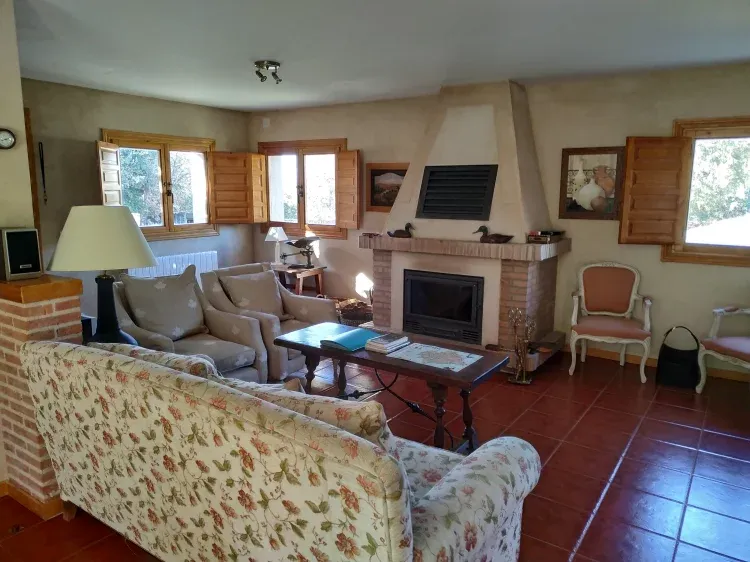 Imagen de Salón y Chimenea