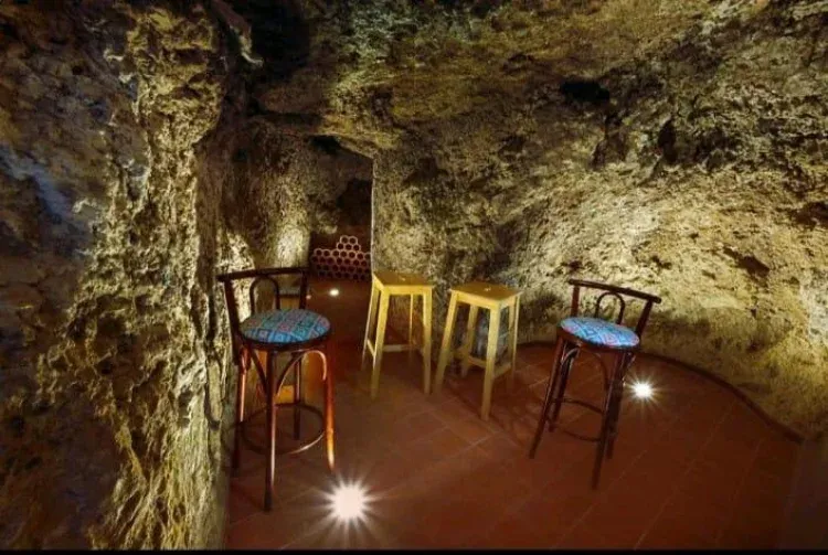 Imagen de Bodega propia