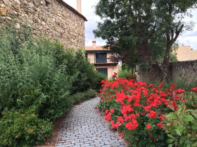 Imagen de Jardin de entrada
