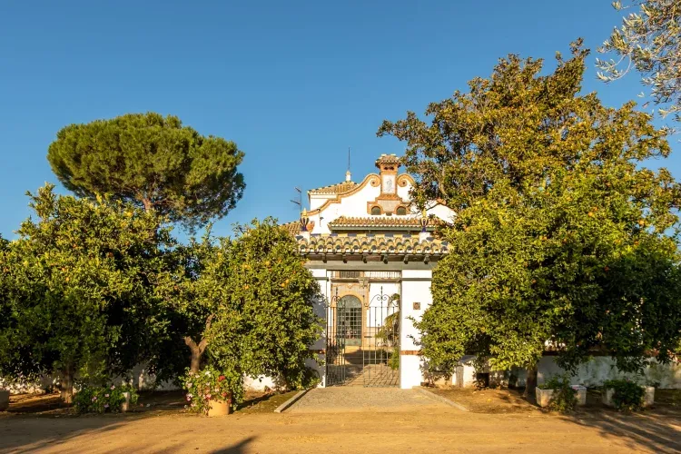 Imagen de Entrada casa