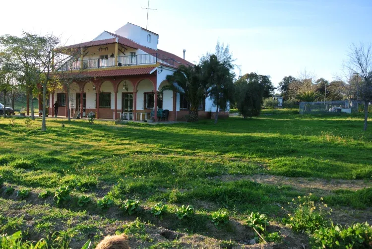 Imagen de La Navalahiguera.