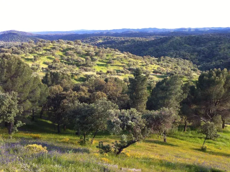 Imagen de Vistas desde la casa