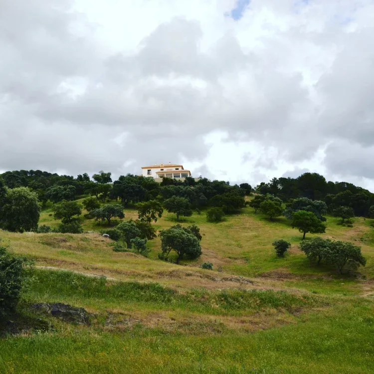 Imagen de Vistas hacia la casa