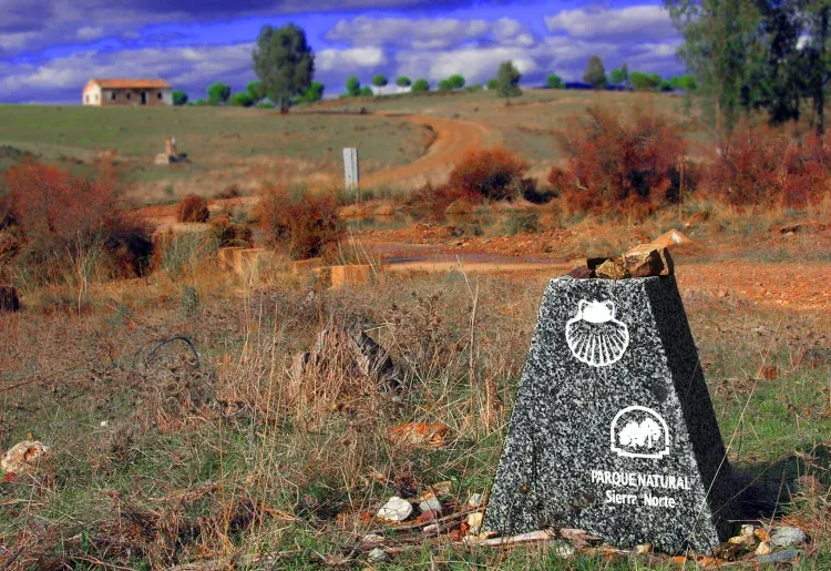 Imagen de Camino de Santiago